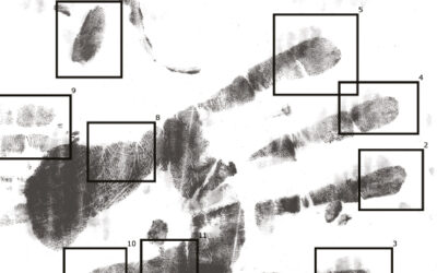 Webinar – Forensics 2030